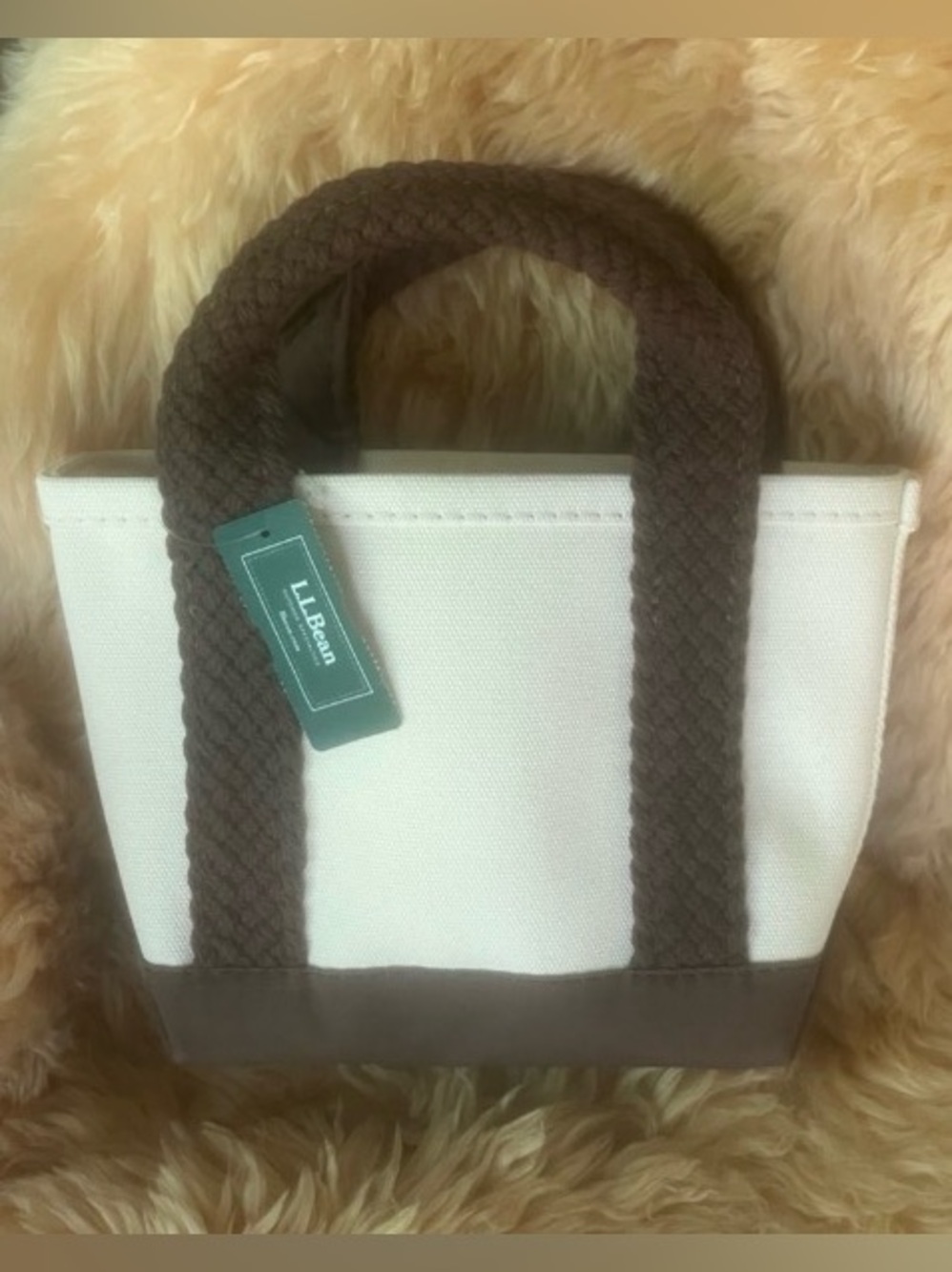 L.L. Bean Mini Boat and Tote bag Braided web Handles Japan limited edition